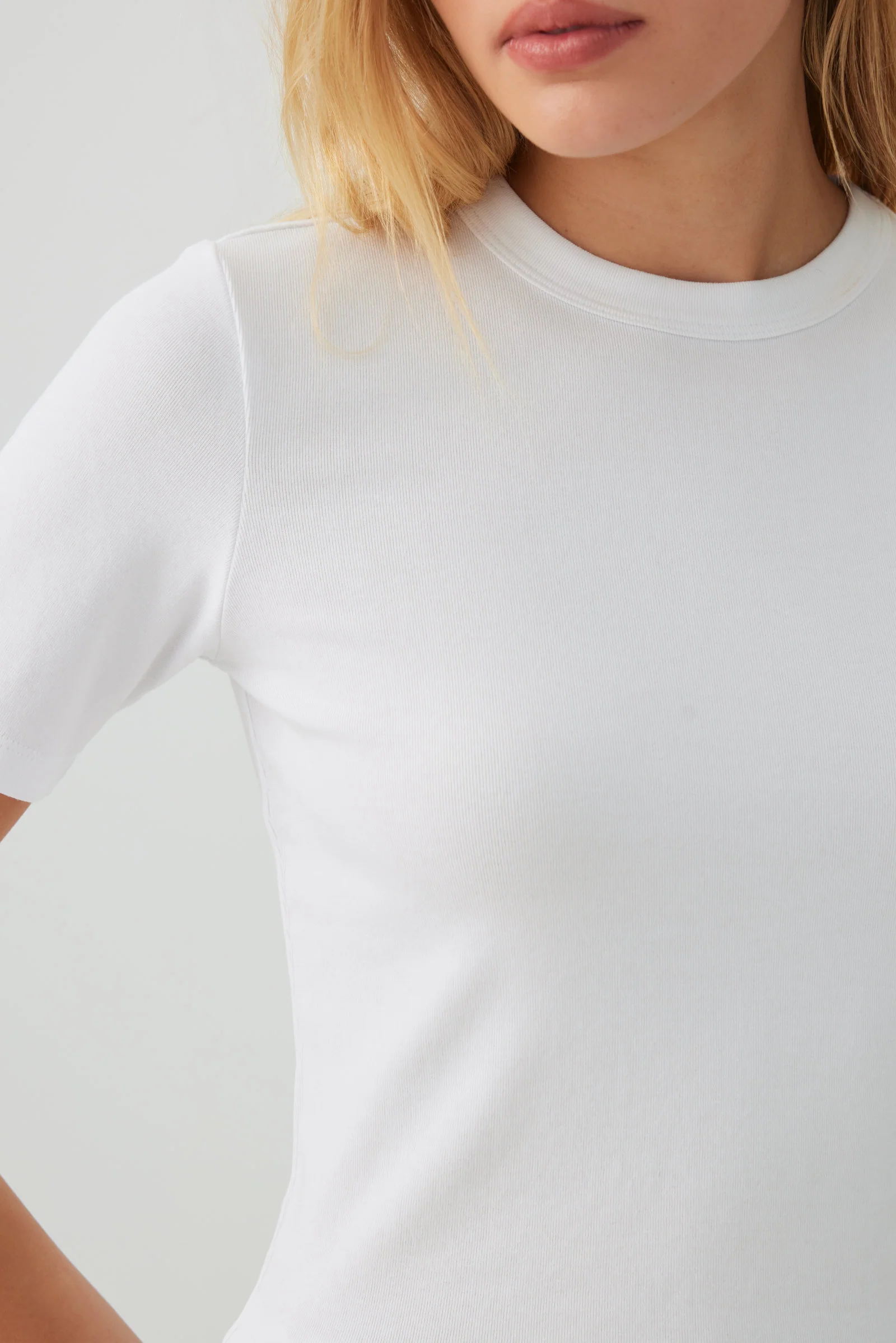 Basic Cropped Rib Crew T-Shirt - Image 3
